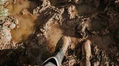 Rubber boots in muddy, waterlogged soil