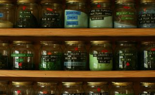 Phil Barnes' colour coordinated shelf of ingredients, used for his creations