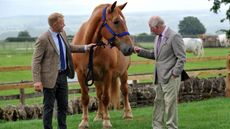 HRH-with-Suffolk-Punch-Horse.jpg
