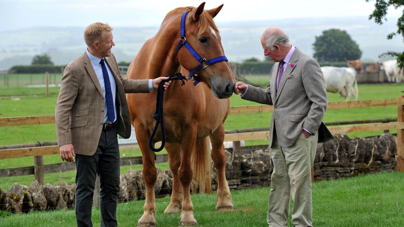 HRH-with-Suffolk-Punch-Horse.jpg