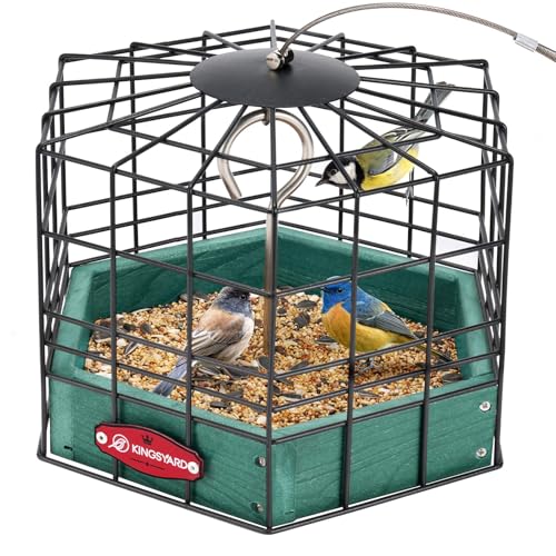 Kingsyard Squirrel Proof Platform Bird Feeders for Outdoor Hanging, 10" Wide Metal Caged Bird Feeder for Small Wildbirds Finches, Recycled Plastic Feeding Platform With Metal Seed Tray, Green