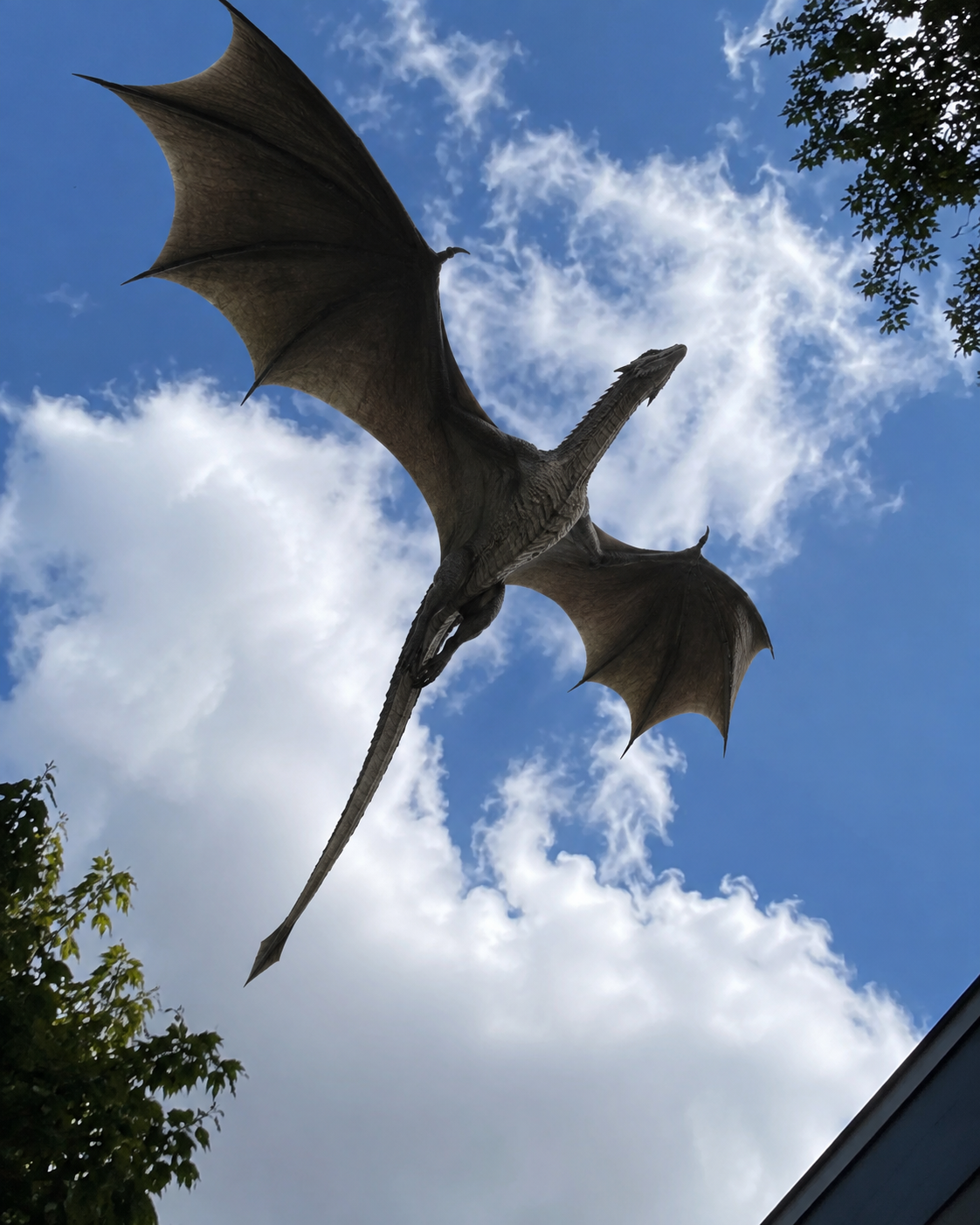 A dragon flying overhead.