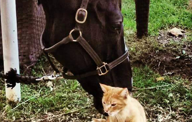 Presley &amp;amp; Peter
