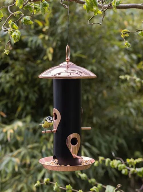 Fallen Fruits Black Copper Seed Dispenser