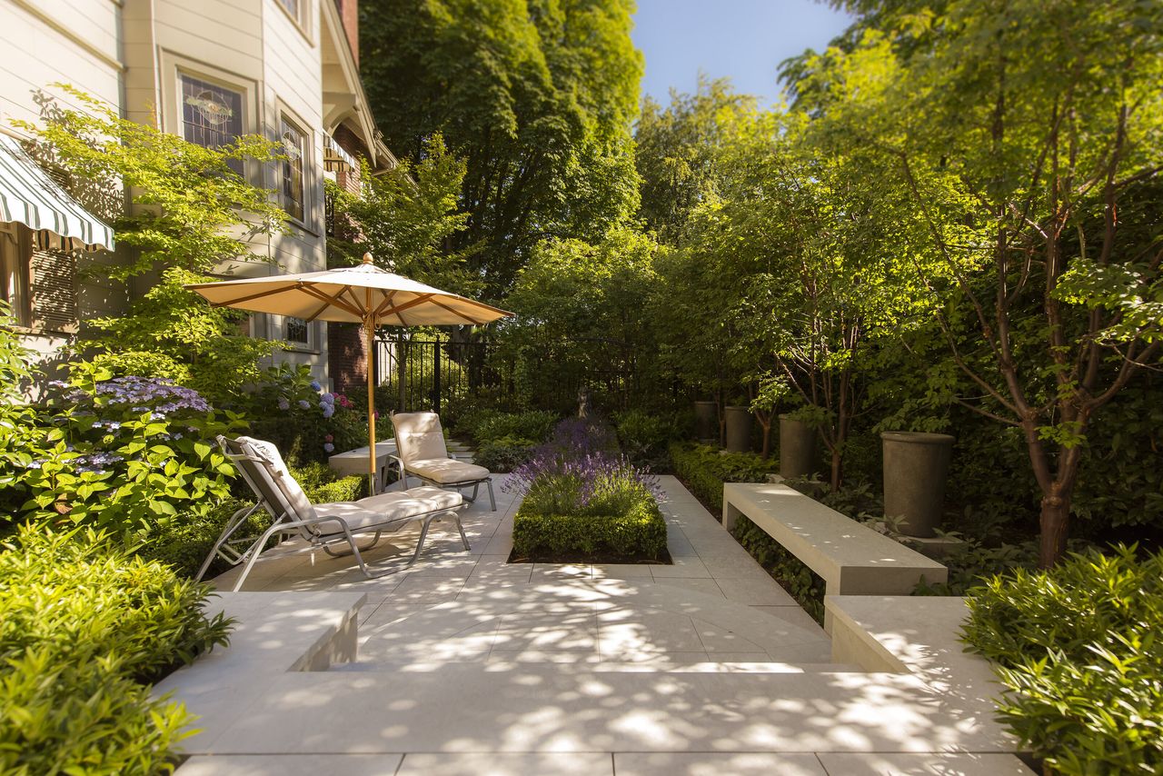 A patio with various relaxing plants