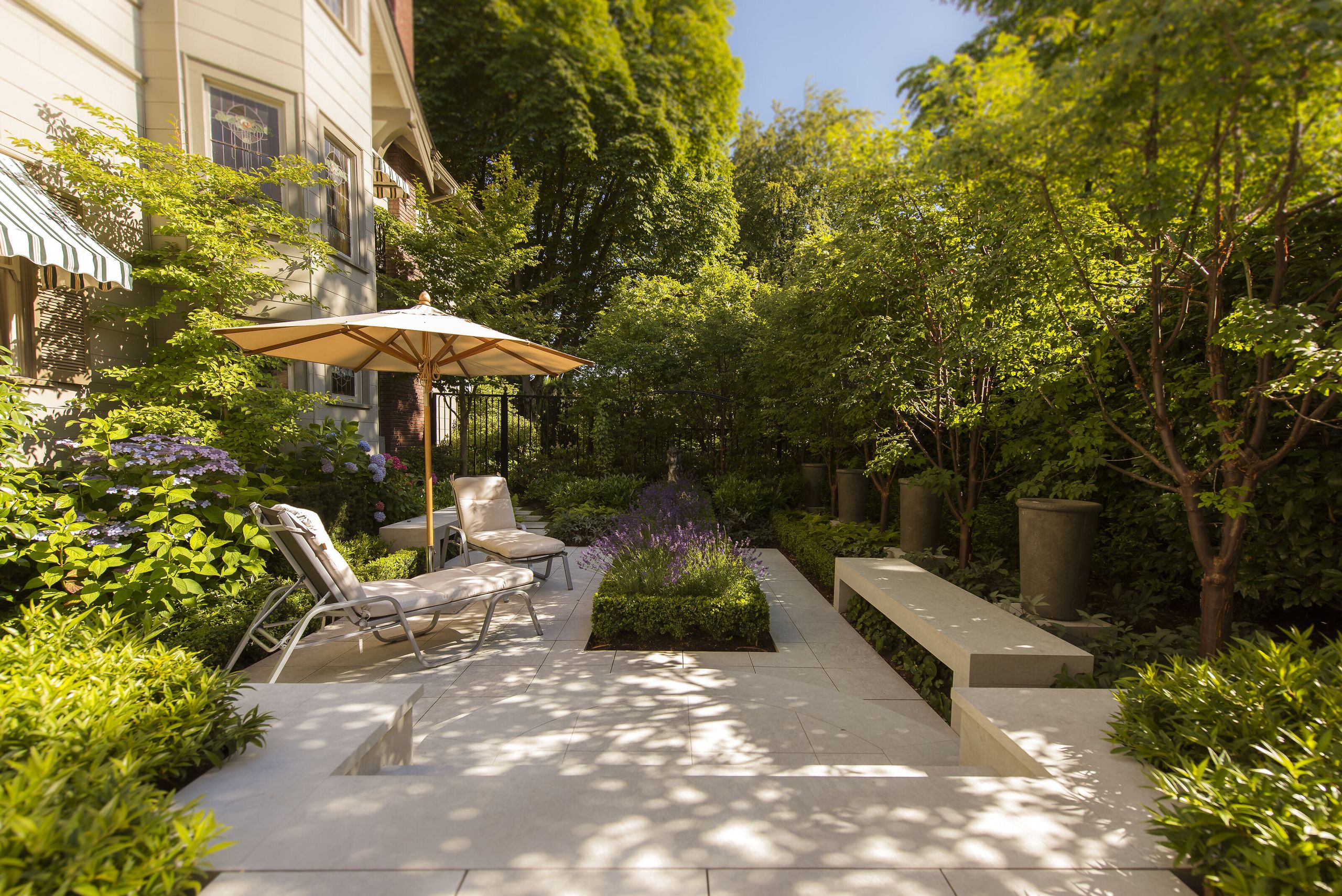 The Best Plants for a Tranquil Patio | Livingetc