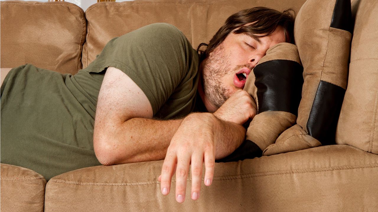 A young man naps on a sofa.