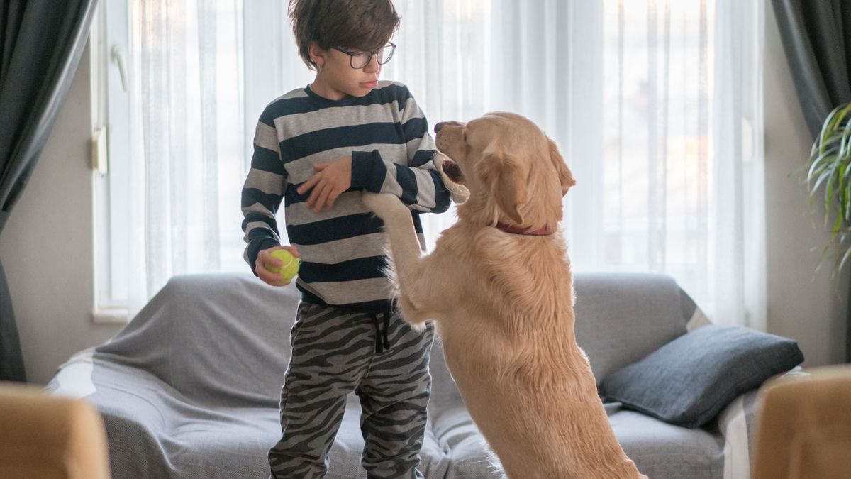 80 Puppy Scales Stock Photos, High-Res Pictures, and Images - Getty Images