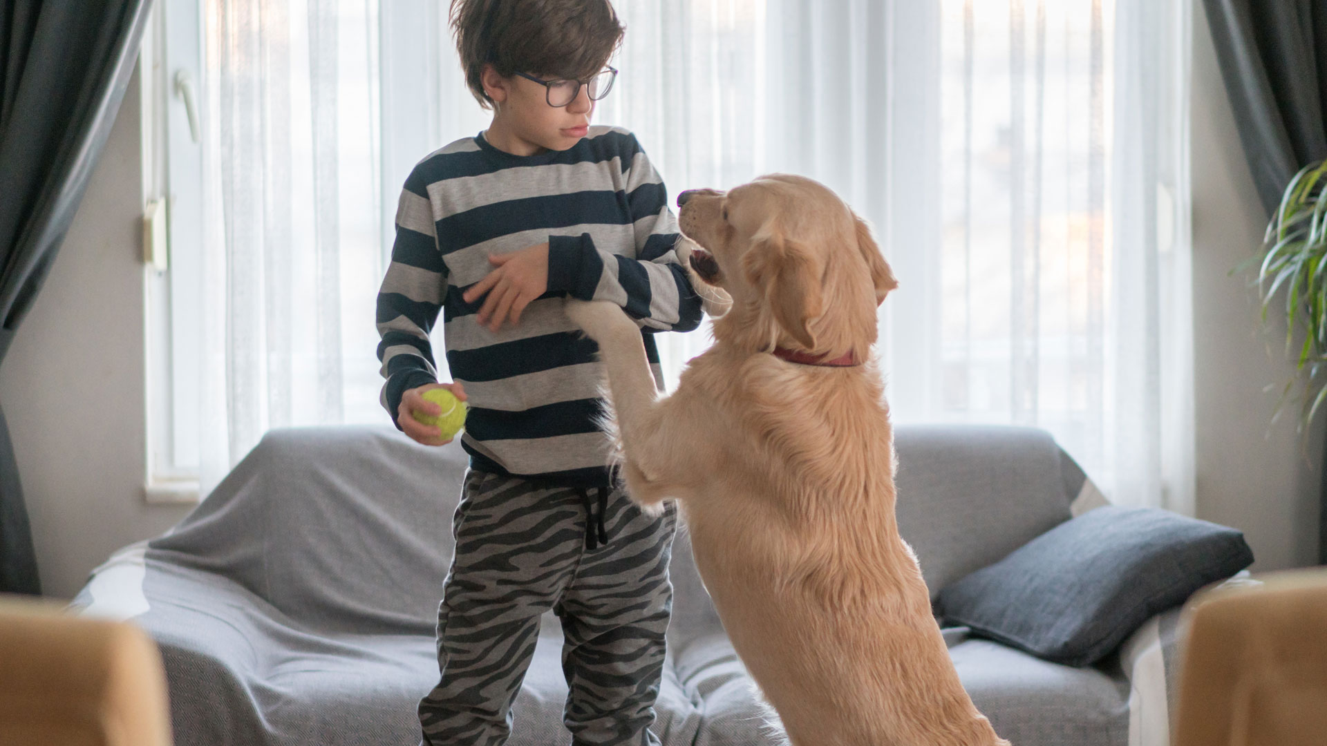 how to keep dog from jumping on couch