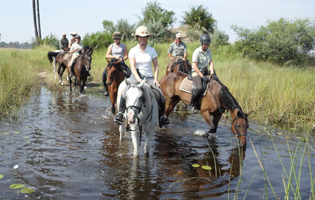 NEW BOTSWANA LUCY AND GROUP