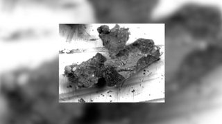 Three chalky grey rocks sit next to each other on a white background