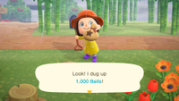 How to grow an Animal Crossing: New Horizons money tree