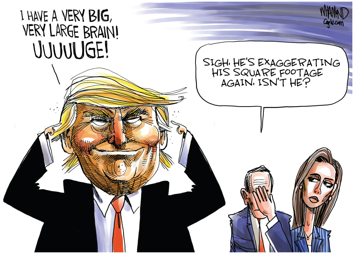 Political Cartoon
