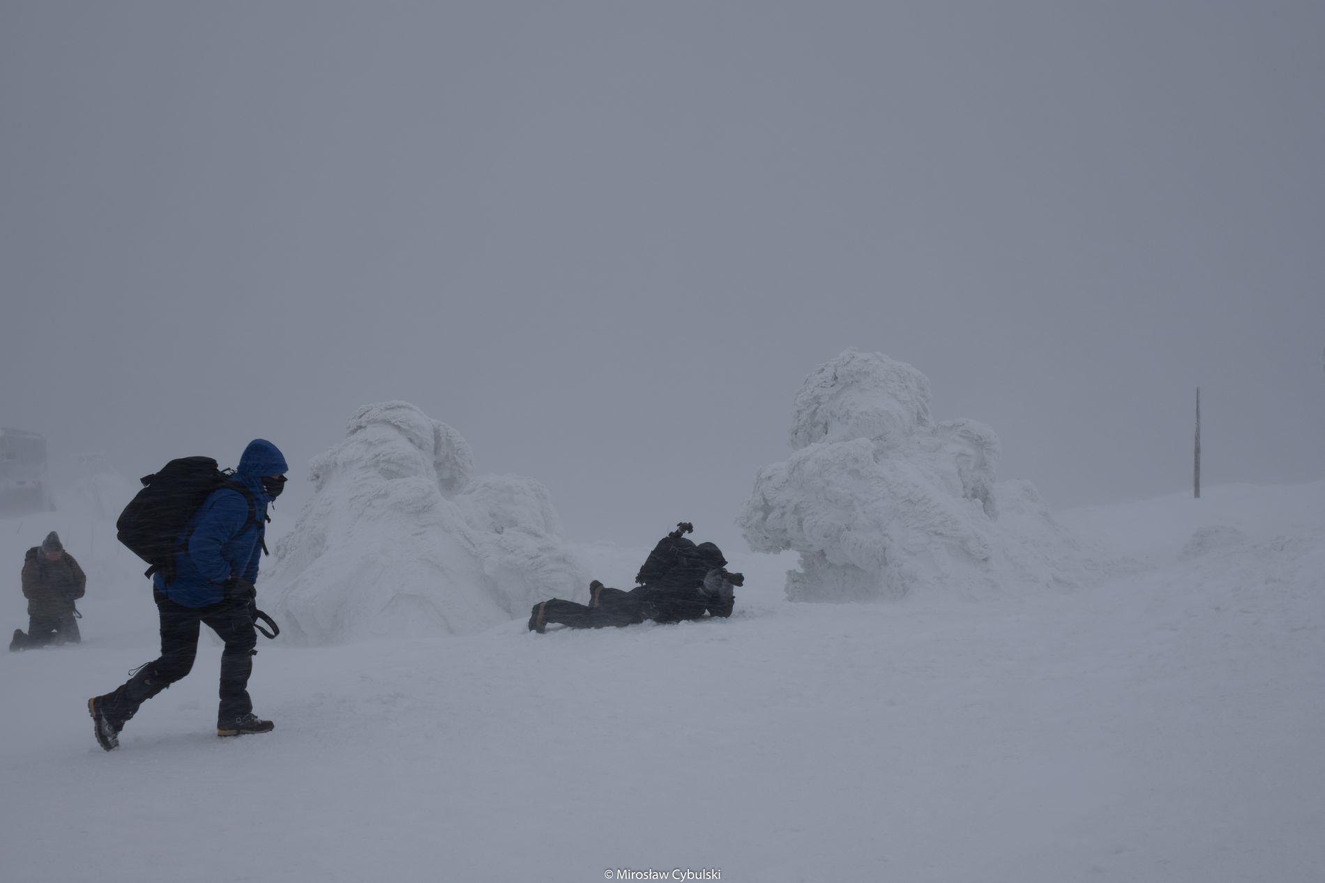 GuruShots - February 2026