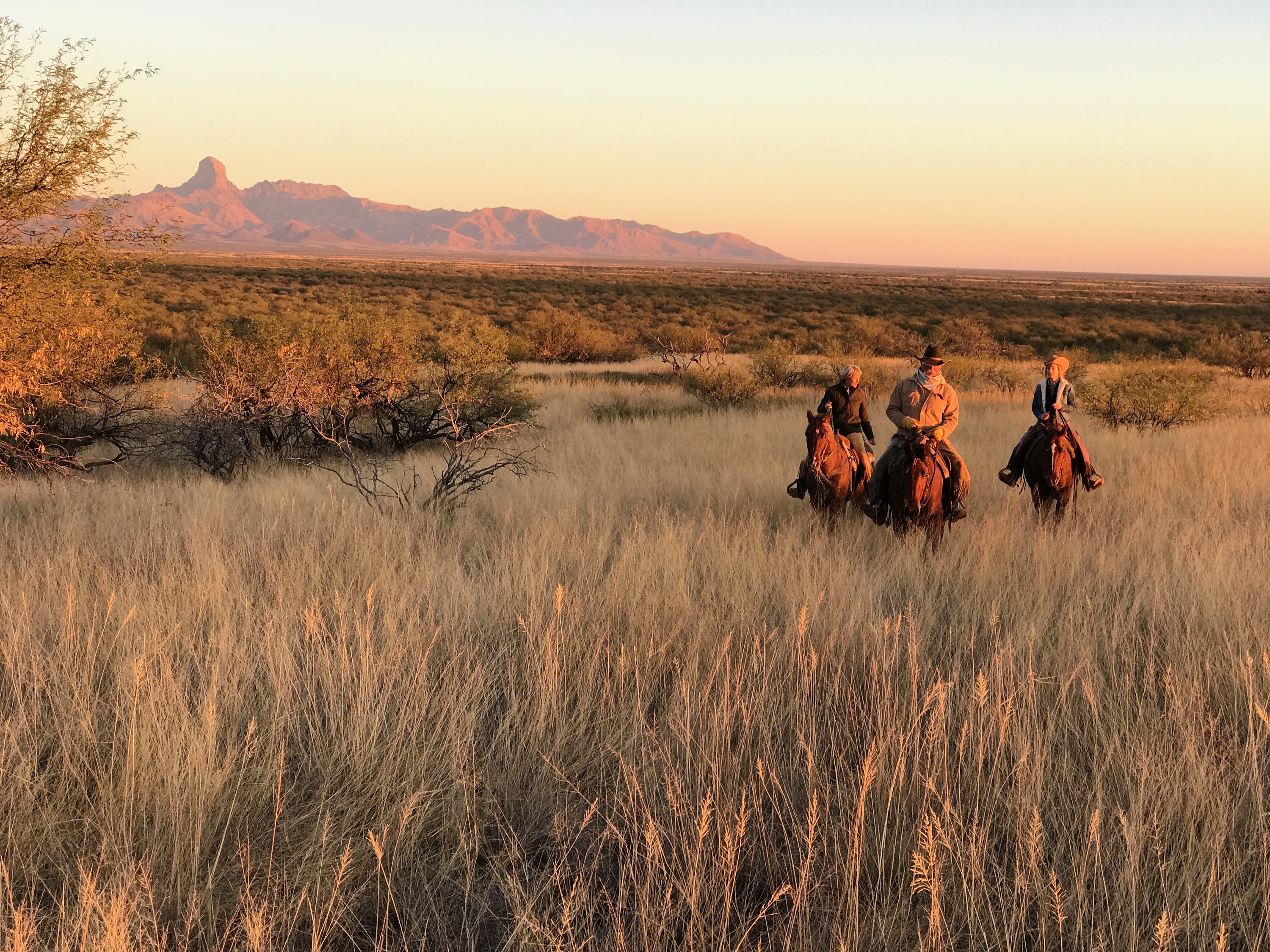 Three people ride horses at sunset on the grounds of Rancho de la Osa in Arizona