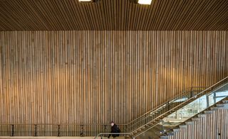 Inside Rotterdam Central Station , wooden panelled wall and ceiling, stairwell with gold handrail and glass panels, ceiling lights, male visitor walking by