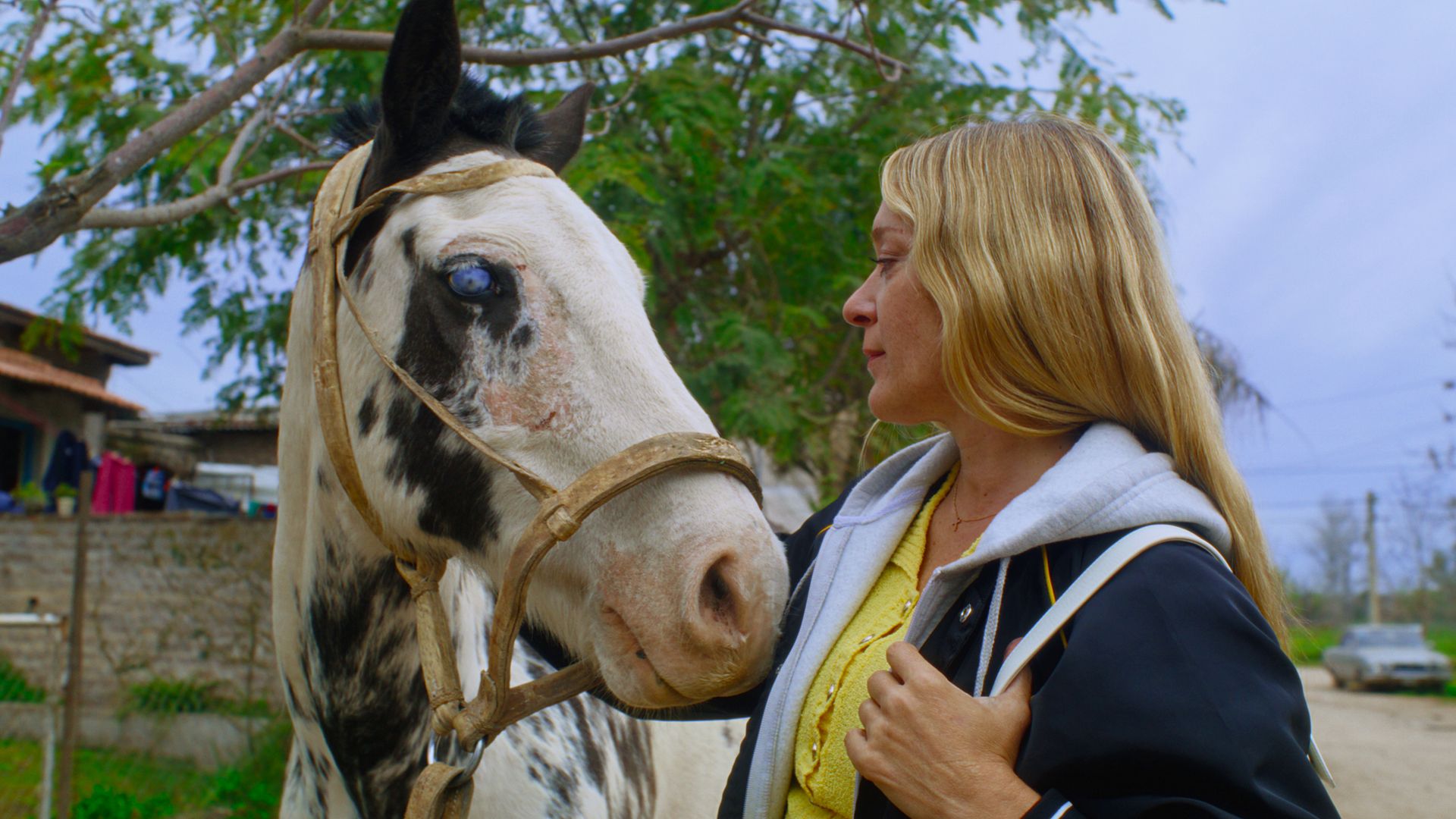 horse and actor