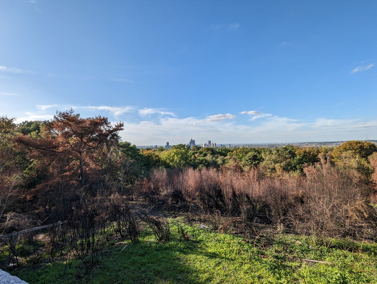 Google Pixel 7