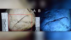 The injuries on the skull of the woman examined using both digital and ultraviolet light photography. 