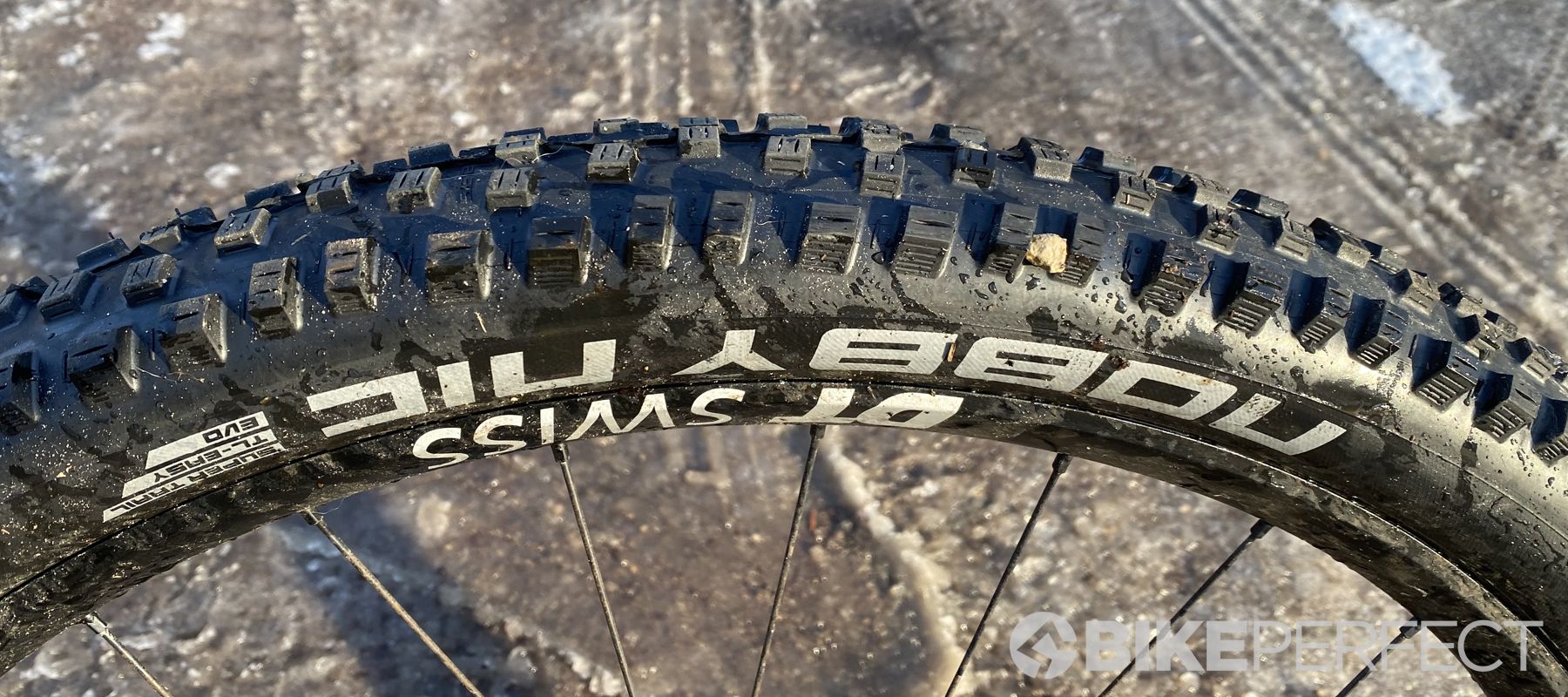 SCHWALBE 完組ホイール ZERO BIKE FACTORY バニッシュ SCHWALBE 完組ホイール ZERO BIKE FACTORY バニッシュ SCHWALBE 完組