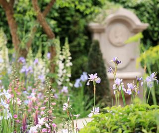 Irises and foxgloves used in The Bridgerton Garden