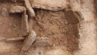 A bird&#039;s eye view of a burial site with many human bones scattered inside