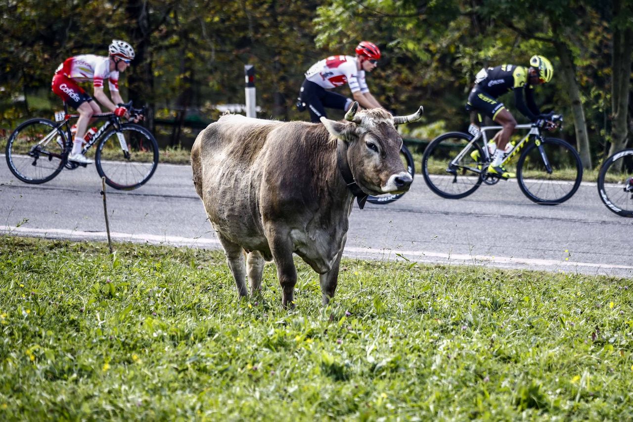 Il Lombardia 2019