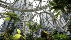 architecture and wellness amazon spheres seattle