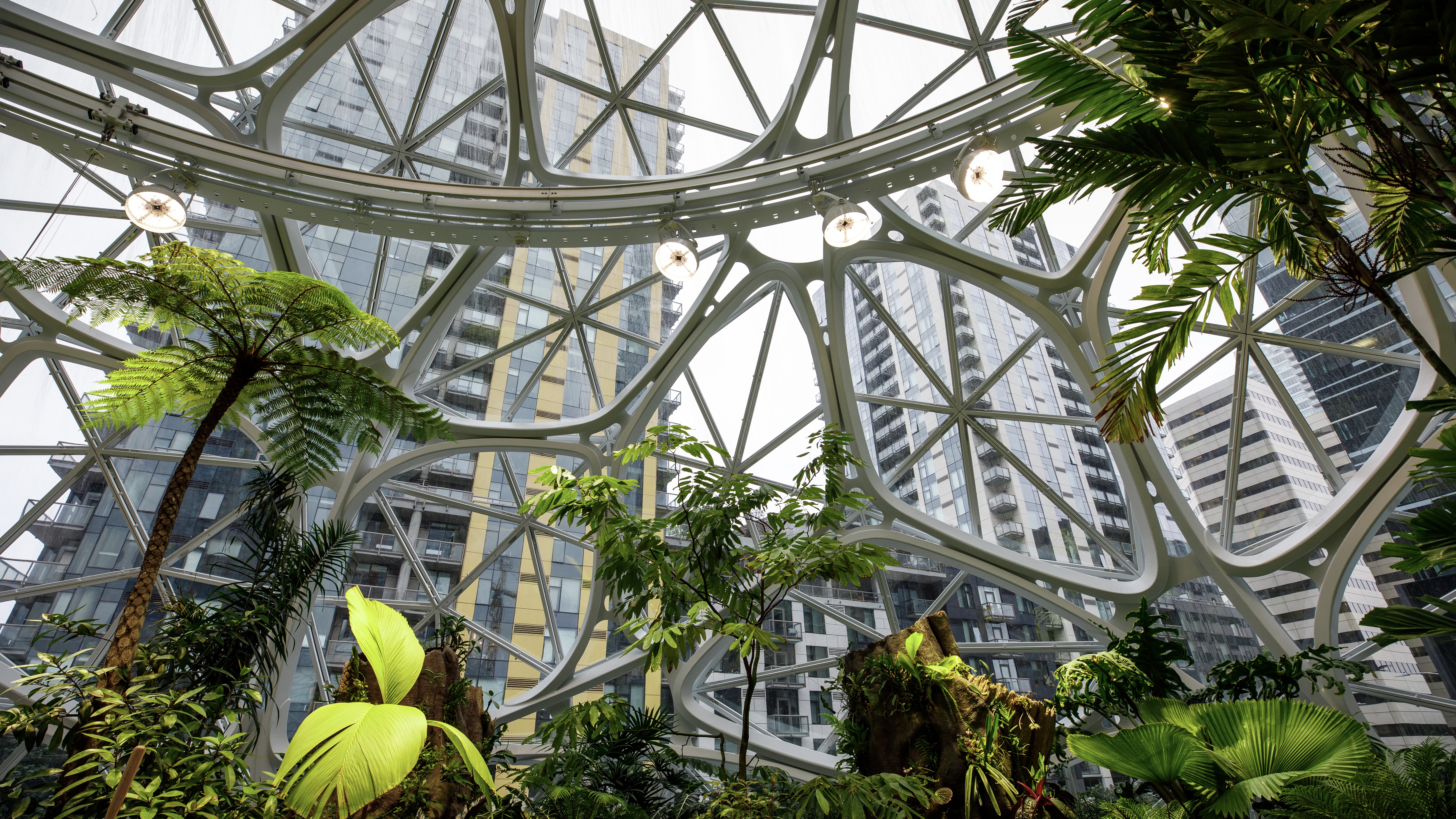 architecture and wellness amazon spheres seattle