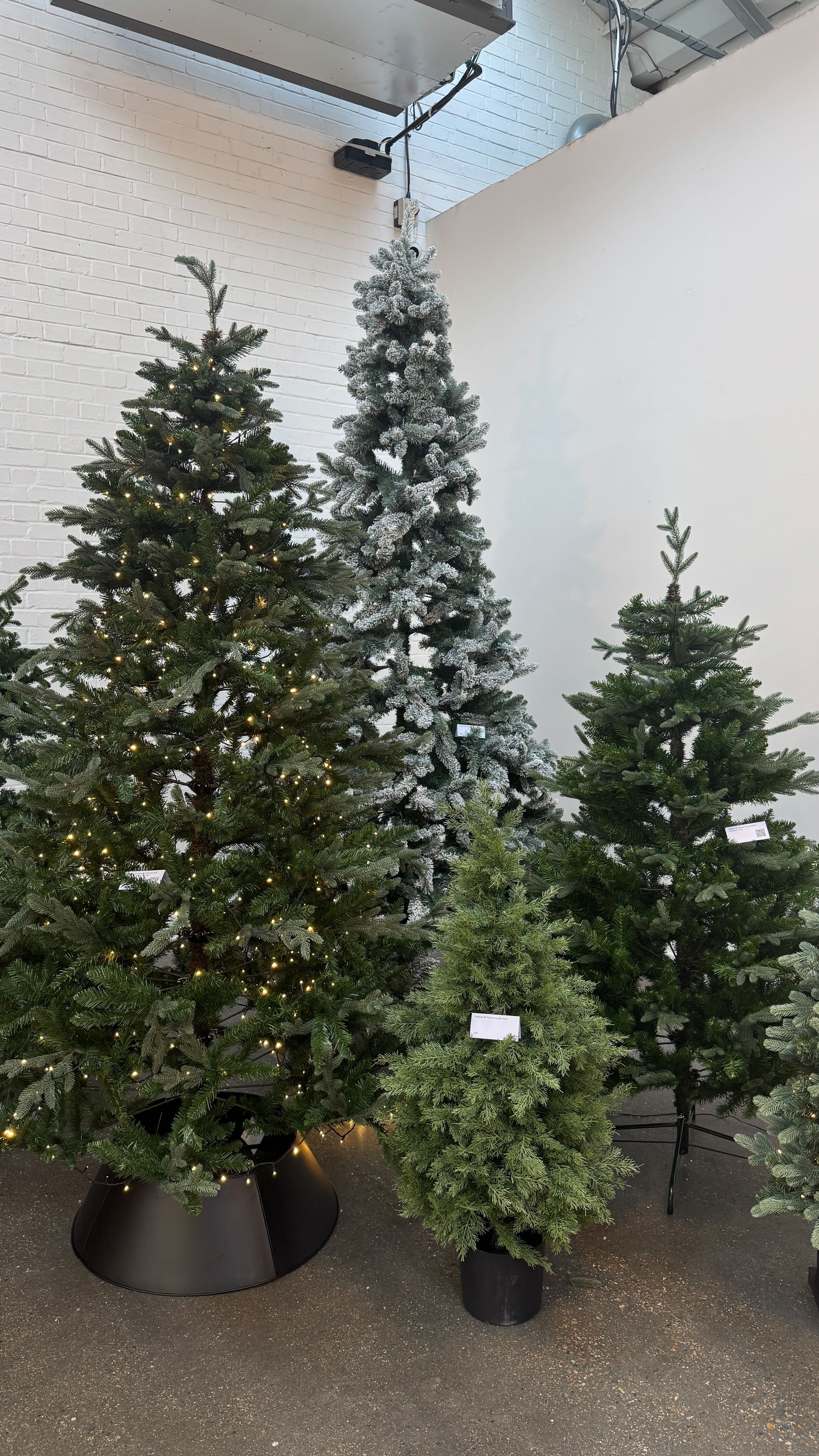 four christmas trees in the corner of a room