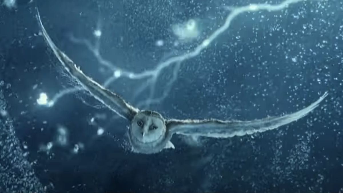 Owl from Legend of the Guardians: The Owls of Ga&#039;Hoole