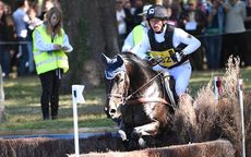 WEG Michael Jung