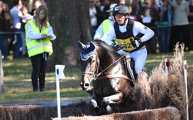 WEG Michael Jung
