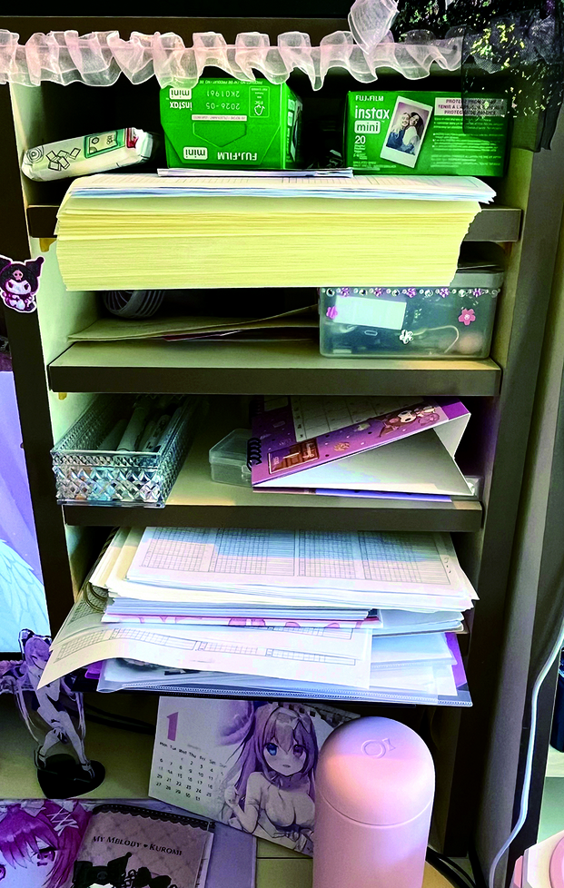 Artist's studio; shelves containing paper