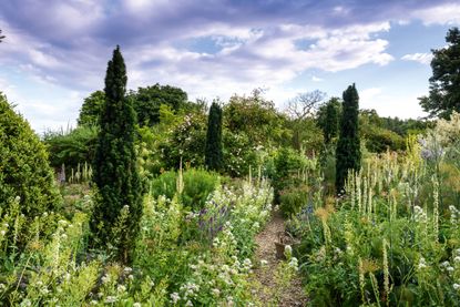Fastigiate yews anchor the borders &mdash; The garden at Serge Hill, home of Kate Stuart-Smith. &copy;Jason Ingram