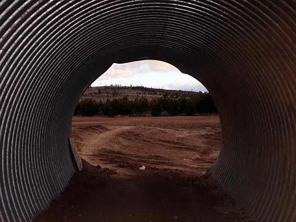 The tunnel of love: Riders pass through here just after the start/finish line.