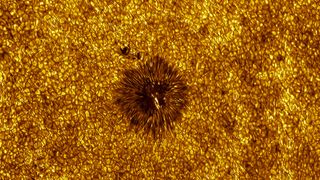 “After several attempts, a perfect opportunity eventually arose,” says award-winning astrophotographer on his super-detailed shot of Sun’s surface
