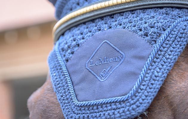 LeMieux Acoustic Fly Hood review