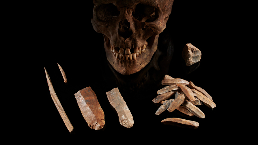 Datant de 7 000 ans, ces outils en pierre et un crâne humain masculin ont été trouvés à Groß Fredenwalde, en Allemagne.  On pense que le peuple auquel appartenait cet individu a vécu aux côtés des premiers agriculteurs d'Europe sans se mélanger.