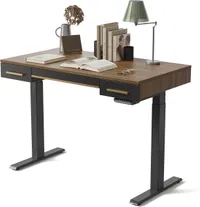 Fezibo Mid-Century Electric Standing Desk Fezibo Mid-Century Electric Standing Desk