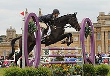 Blenheim-Lucy-W.jpg
