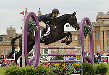 Blenheim-Lucy-W.jpg