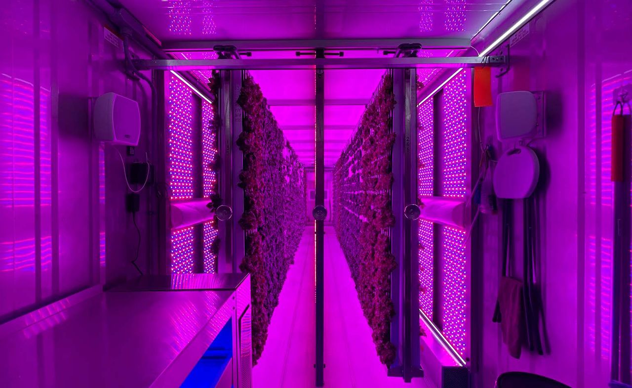 Inside one of Crate to Plate&#039;s urban farms