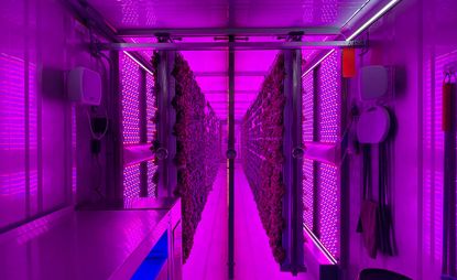 Inside one of Crate to Plate's urban farms