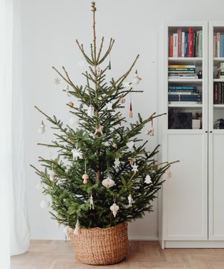 Christmas tree in a wicker basket against a white wall and book cabinet