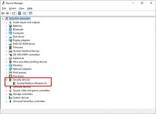 Check TPM support on Windows 10