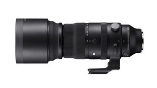 Sigma 150-600mm F5-6.3 DG DN OS | Sports