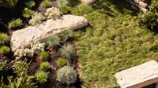 a backyard with tall fescue grasses