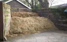 The immaculate muck heap