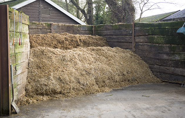 The immaculate muck heap